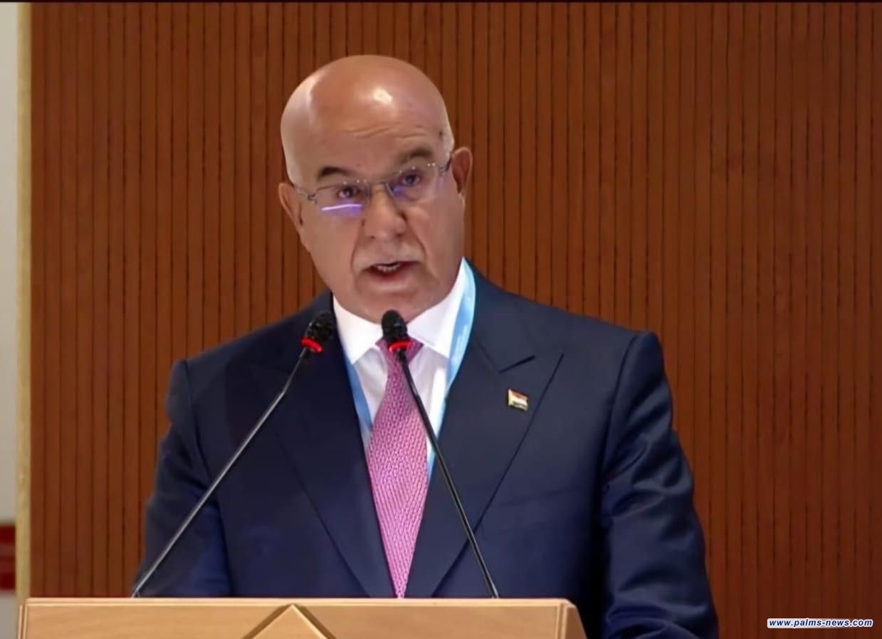 الحسناوي : خفضنا نسبة وفيات الأمهات بحدود 70% والأطفال 50%